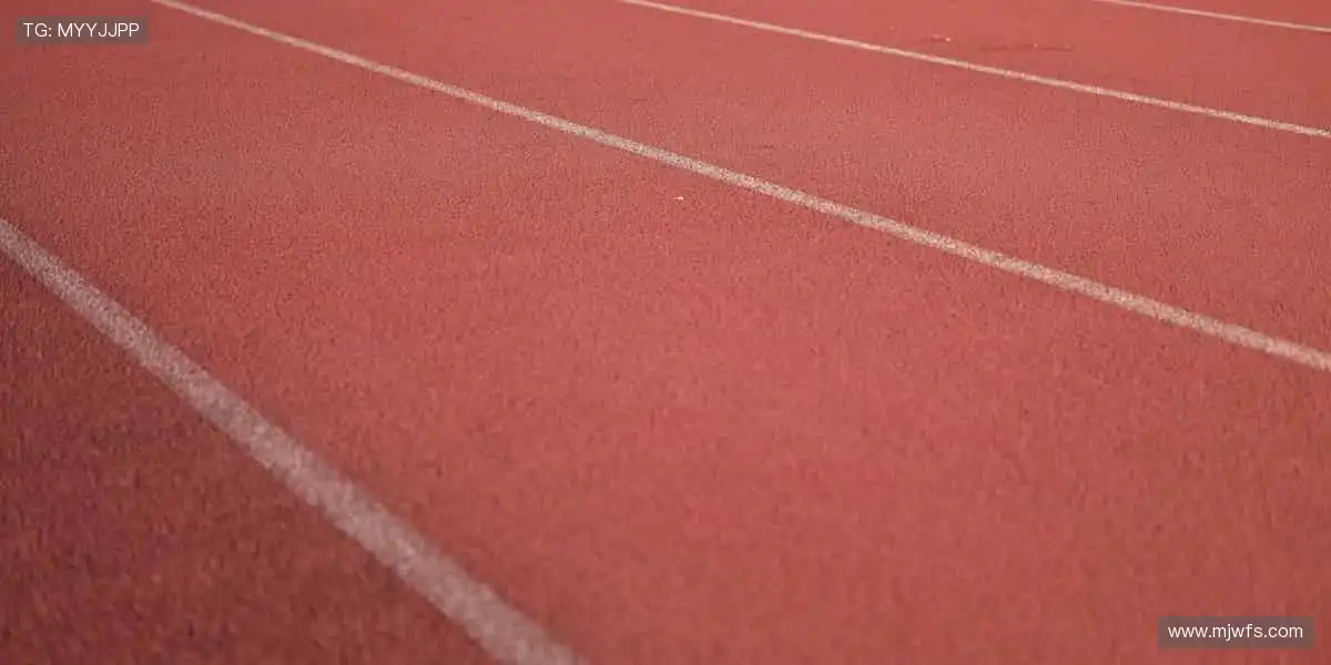 📺 实时解说,带你沉浸式感受赛场心跳!